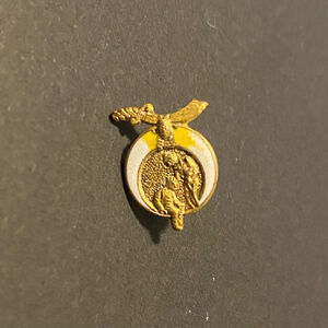 Vintage Shriner’s Masonic Gold Pin